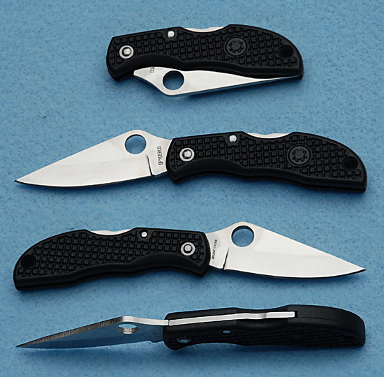 LBKP Ladybug Plainedge